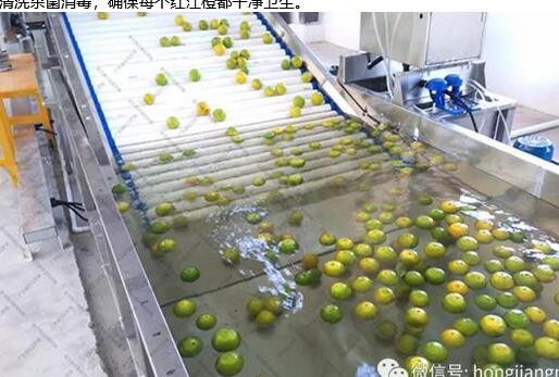 綠萌是紅江橙智能分選設備國家高新技術企業(yè),對紅江橙采后處理提供全套解決方案。綠萌紅江橙分選機可進行大小重量分級、外觀顏色分選、內(nèi)部品質(zhì)糖度檢測。提供全自動紅江橙分選設備,紅江橙選果機,智能紅江橙分選機,全自動紅江橙分選機,紅江橙分級機,小型紅江橙分選機,紅江橙分級機,紅江橙稱重分選機,紅江橙重量分選機,紅江橙大小分選機,紅江橙顏色分選機,紅江橙糖度分選機,配套紅江橙清洗機、紅江橙洗果保鮮機、紅江橙包裝機、紅江橙消毒滅菌殺菌機,紅江橙打蠟機。更多紅江橙分選方案報價,小型紅江橙選果設備價格、紅江橙分級機怎么樣、口碑好質(zhì)量好的紅江橙選果機、了解高性能紅江橙分選機多少錢,咨詢客服免費獲取
