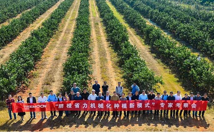 綠萌水果分選設備可進行重量大小分級、顏色、瑕疵外觀視覺分選,無損檢測糖度,甜度,酸度、空心、浮皮、褐變、果肉損傷等內(nèi)部指標檢測,提供智能全自動臍橙分選機,臍橙分選設備,臍橙選果機,臍橙選果設備,臍橙分級機,臍橙稱重分揀機,臍橙大小直徑選果,臍橙采后分選方案和價格