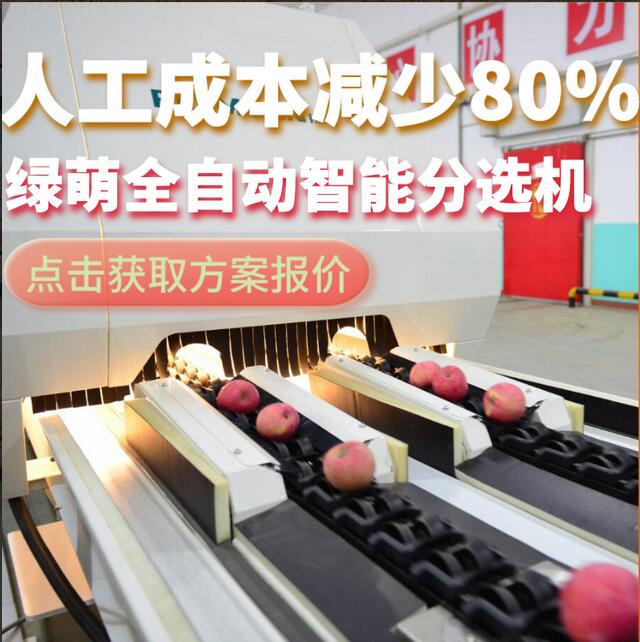 綠萌是水果智能分選設備國家高新技術企業,對水果采后處理提供全套解決方案。綠萌水果分選機可進行大小重量分級、外觀顏色分選、內部品質糖度檢測。提供全自動水果分選設備,水果選果機,智能水果分選機,全自動水果分選機,水果分級機,小型水果分選機,水果分級機,水果稱重分選機,水果重量分選機,水果大小分選機,水果顏色分選機,水果糖度分選機,配套水果清洗機、水果洗果保鮮機、水果包裝機、水果消毒滅菌殺菌機,水果打蠟機。更多水果分選方案報價,小型水果選果設備價格、水果分級機怎么樣、口碑好質量好的水果選果機、了解高性能水果分選機多少錢,咨詢客服免費獲取
