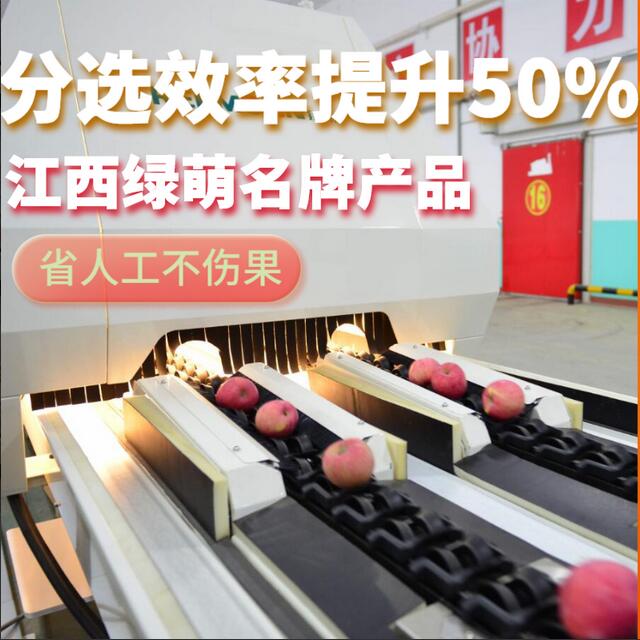 綠萌是水果智能分選設備國家高新技術企業,對水果采后處理提供全套解決方案。綠萌水果分選機可進行大小重量分級、外觀顏色分選、內部品質糖度檢測。提供全自動水果分選設備,水果選果機,智能水果分選機,全自動水果分選機,水果分級機,小型水果分選機,水果分級機,水果稱重分選機,水果重量分選機,水果大小分選機,水果顏色分選機,水果糖度分選機,配套水果清洗機、水果洗果保鮮機、水果包裝機、水果消毒滅菌殺菌機,水果打蠟機。更多水果分選方案報價,小型水果選果設備價格、水果分級機怎么樣、口碑好質量好的水果選果機、了解高性能水果分選機多少錢,咨詢客服免費獲取