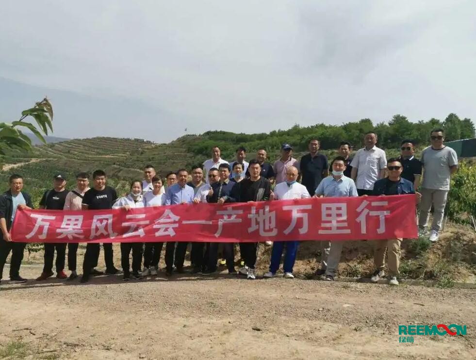 綠萌自動化櫻桃分選設備亮相甘肅天水引起各界廣泛關注 5月29日,綠萌櫻桃自動化分揀生產(chǎn)線在甘