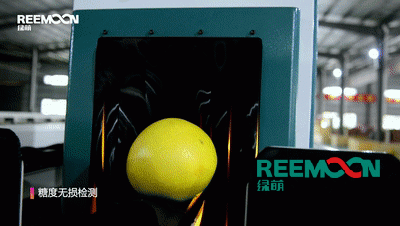 1601341903630959.gif