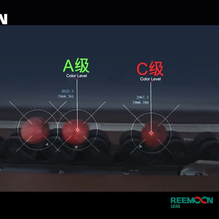 綠萌水果分選機多少錢?江西綠萌科技控股有限公司廠家直銷報價