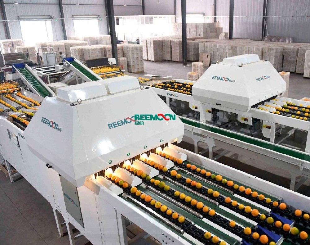 信豐首個博士后創新實踐基地落戶綠萌信豐首個博士后創新實踐基地落戶綠萌!綠萌的發展離不開中國共產黨和國家的關懷以及地方政府的支持,綠萌始終心懷感恩,努力發展自己、提高自己以回饋國家,回饋社會。公司從2011年起和華中農業大學開展產學研合作,此后近10年一直和華中農業大學保持深度地合作;2018年,正式引進鄧秀新