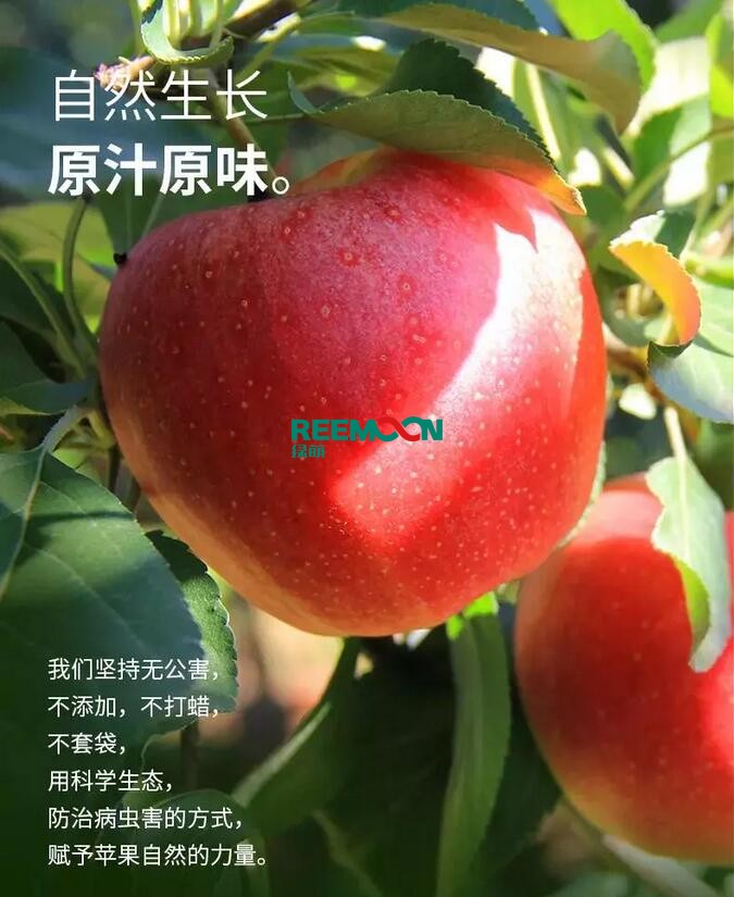 1605077960646601.jpg