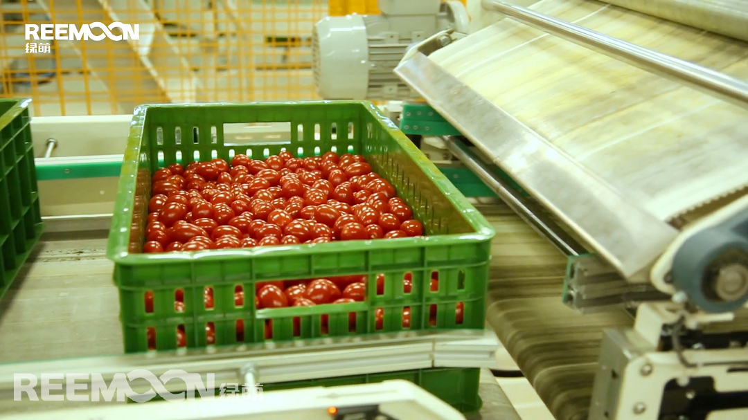 1616489901142921.png 進料系統.png