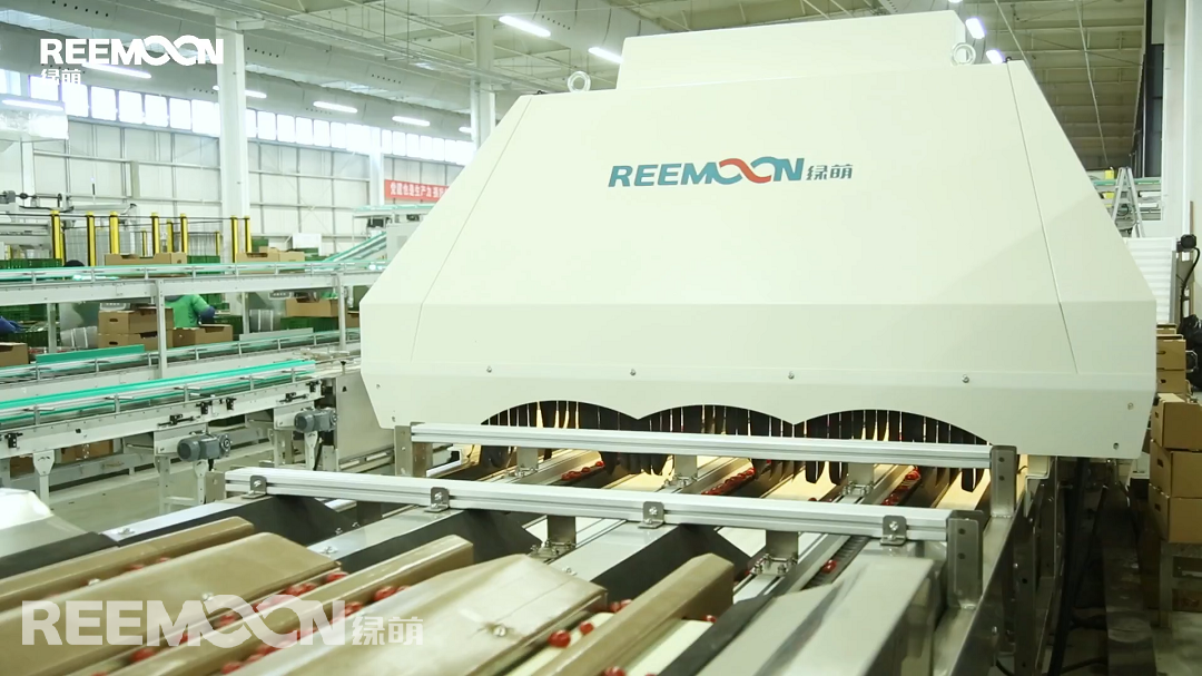 1616489927101969.png 分選系統.png