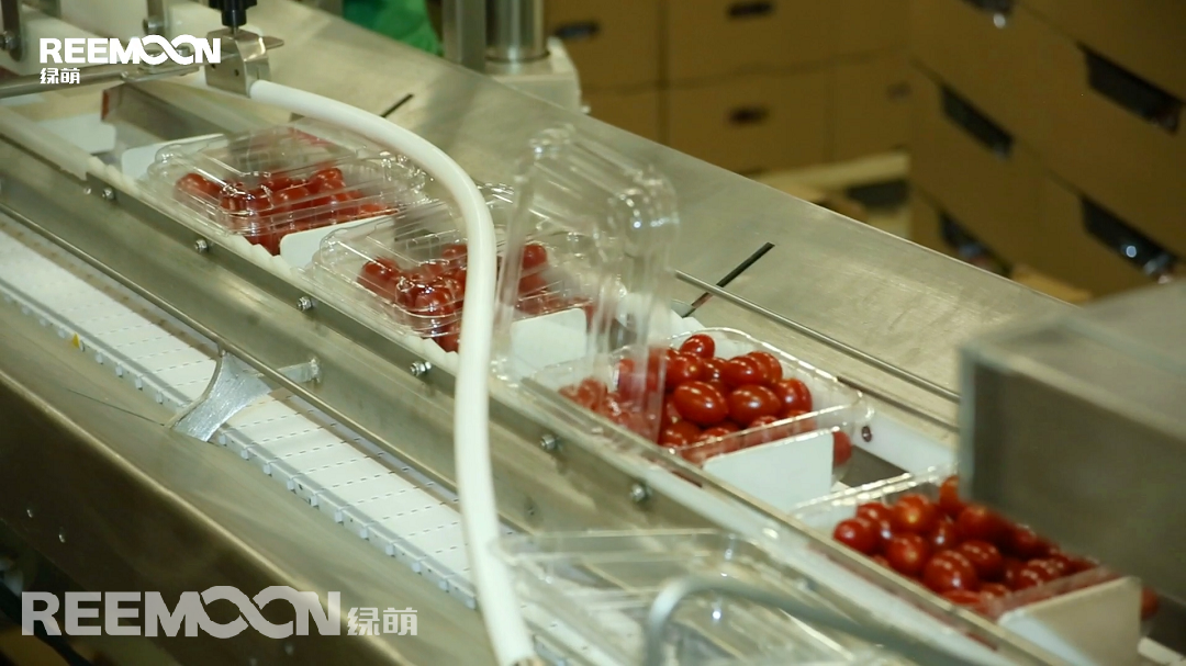 1616489972199122.png 兼容系統.png