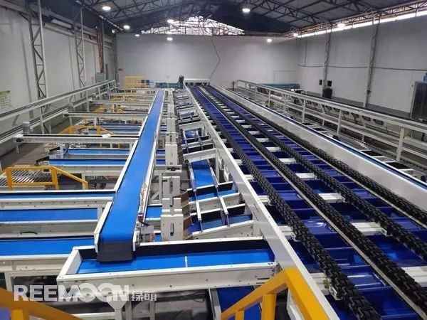 1618305793166681.jpg 獼猴桃1.jpg