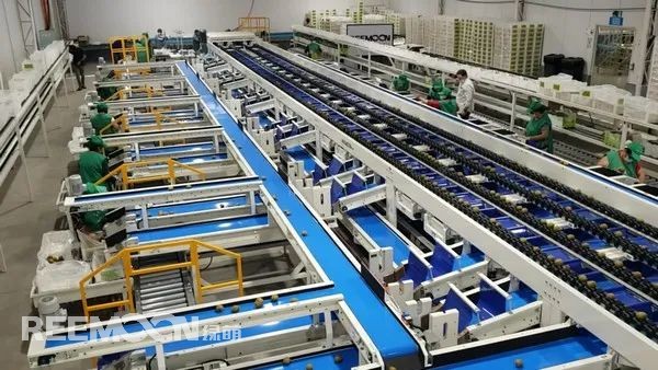 1618305827205688.jpg 獼猴桃4.jpg