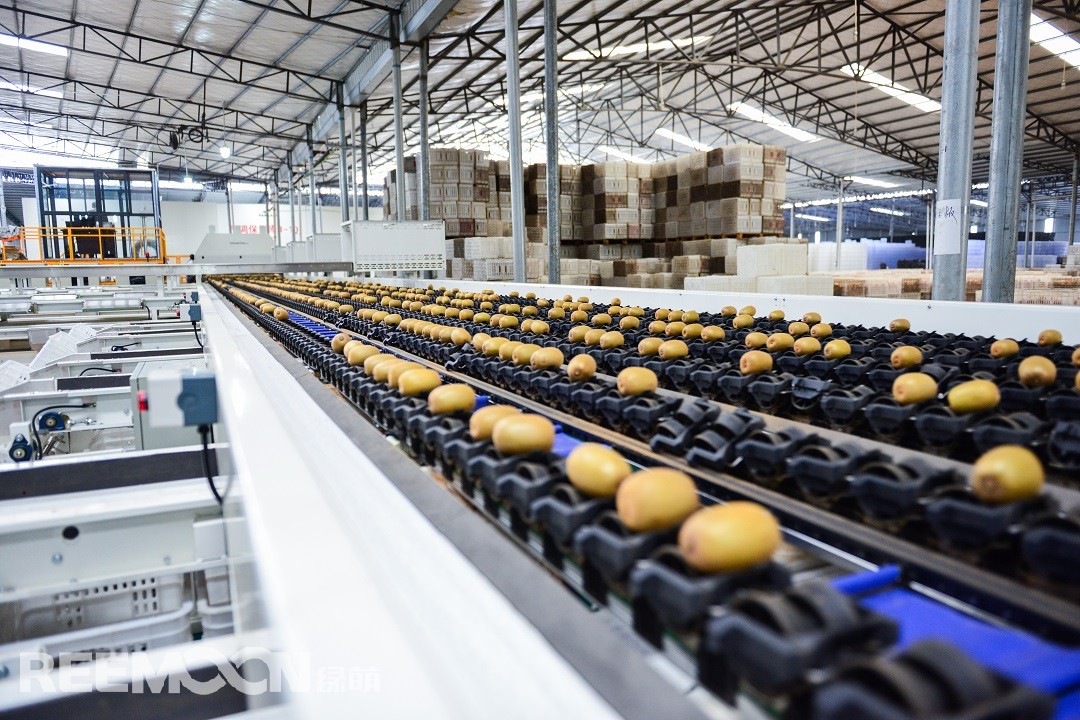 1618306026137926.jpg 啊.jpg