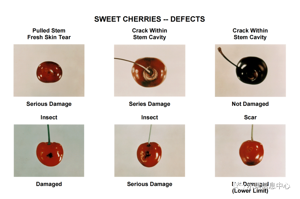 1620811835843839.png 官網2.png