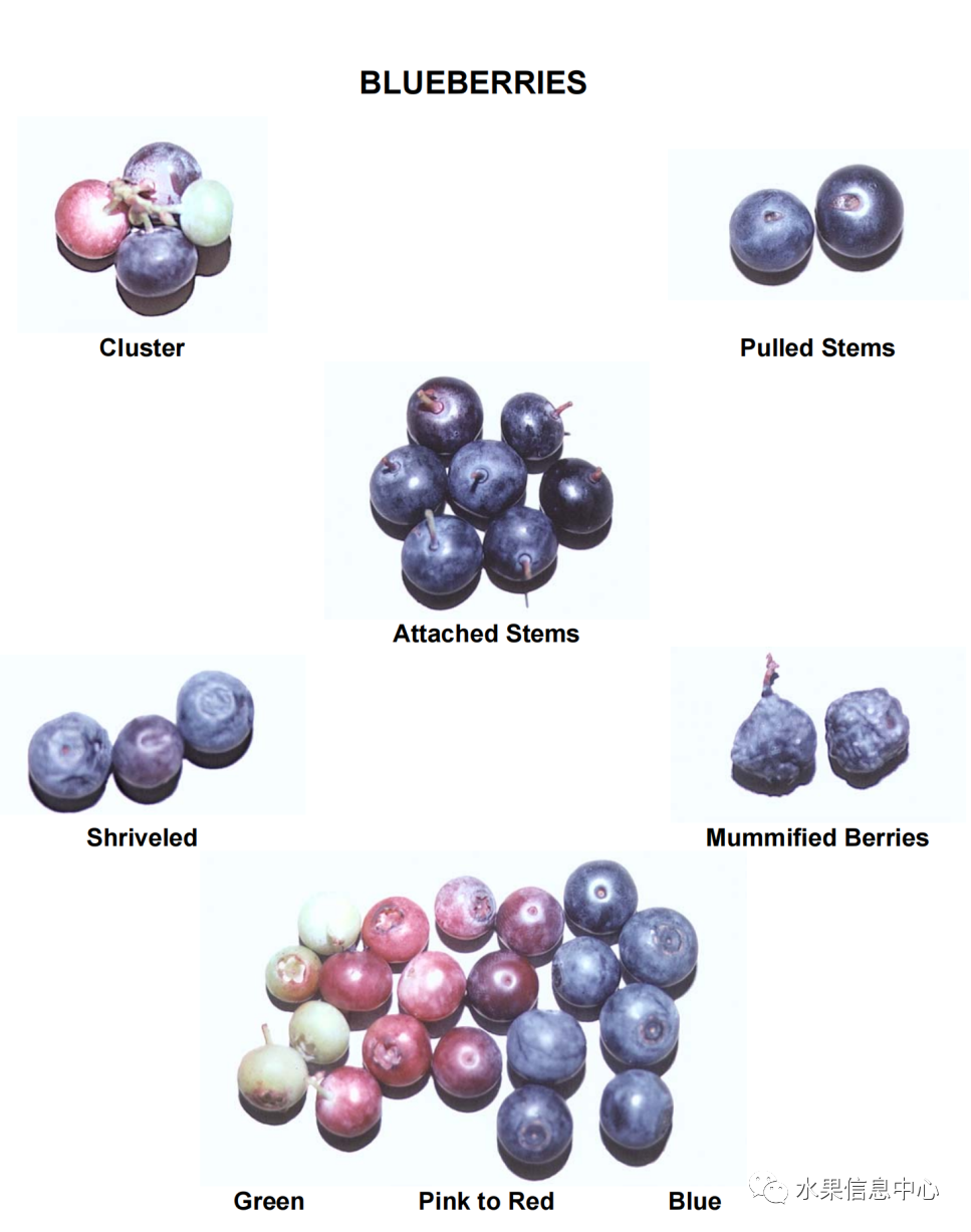 1620811864123329.png 官網3.png