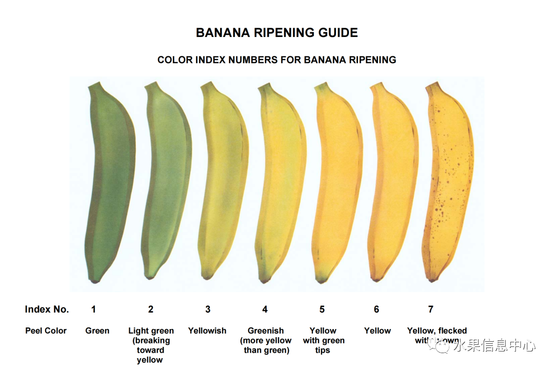 1620811906199247.png 官網4.png