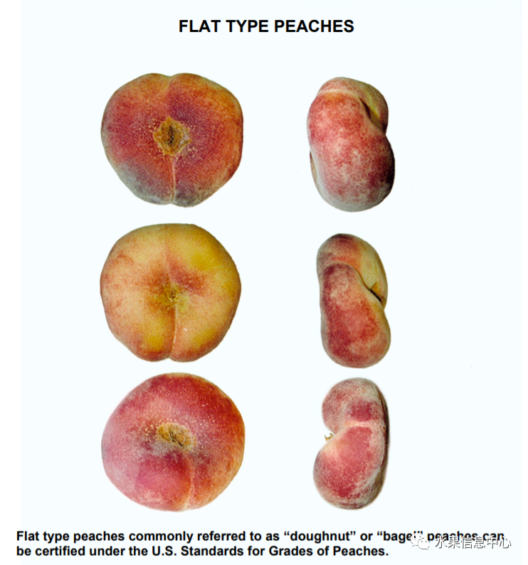 1620812751156111.png 48.png