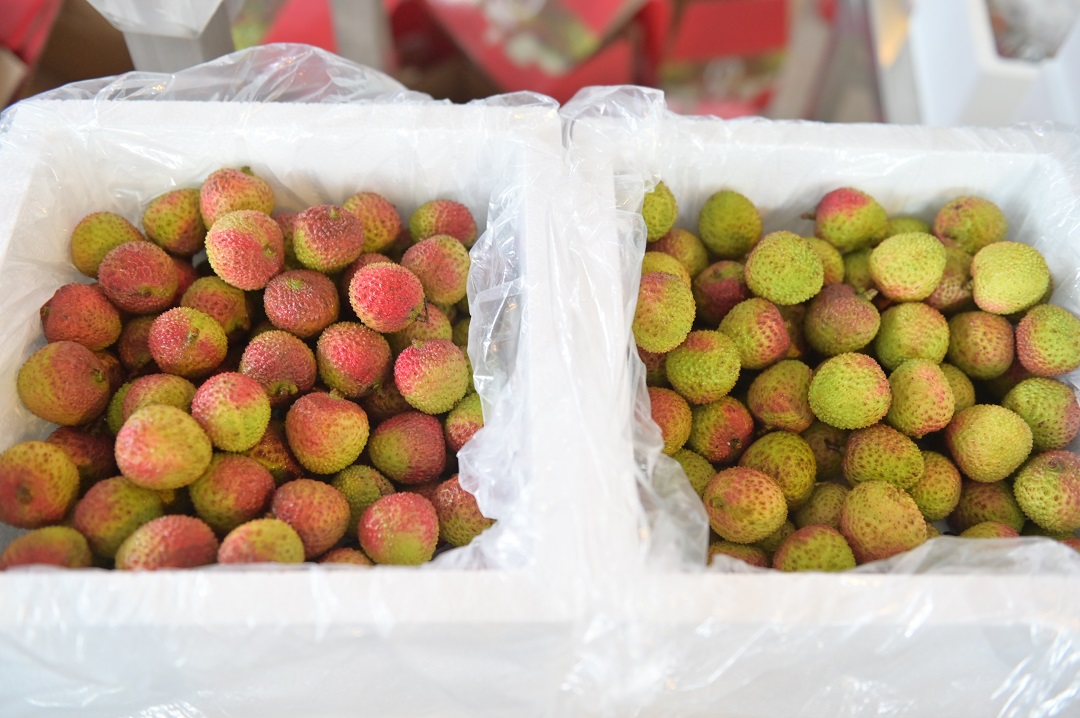 1621854639195412.jpg 荔枝對比.jpg