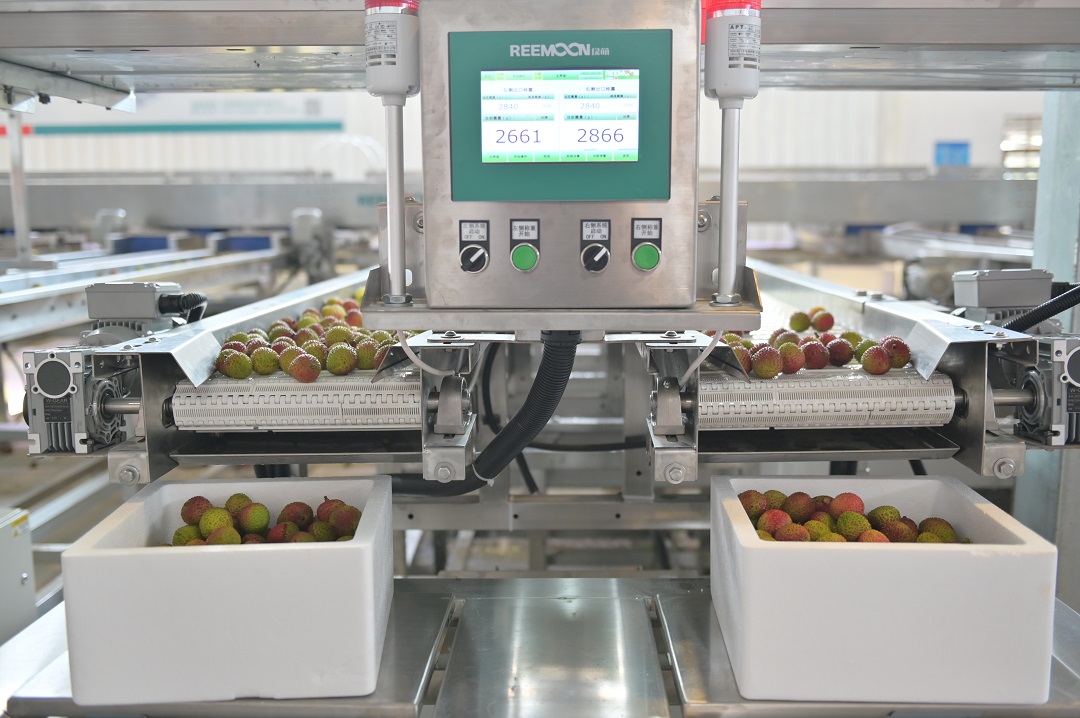 1622537196182718.jpg 定量裝箱.JPG