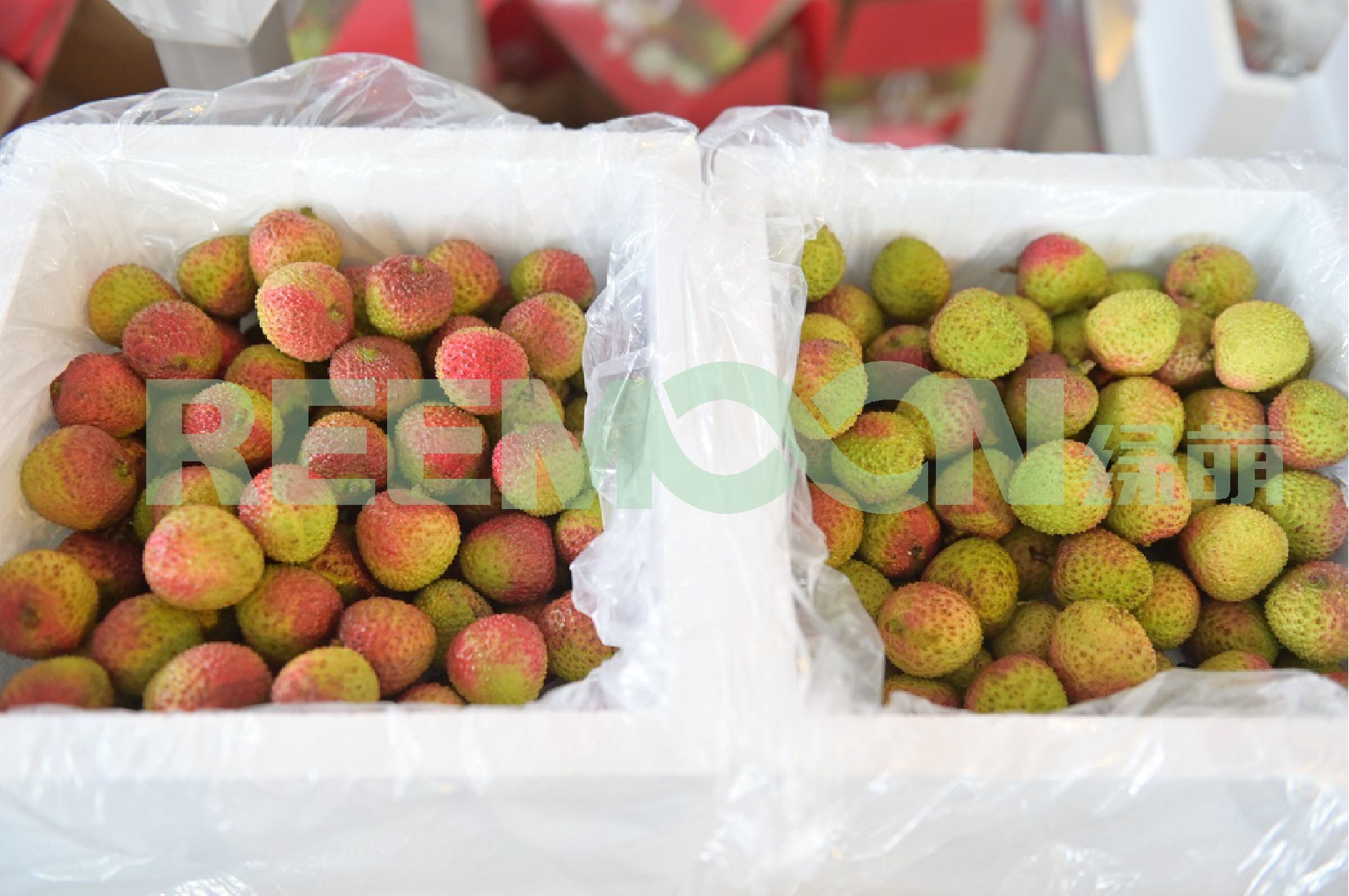 1622537823115633.jpg 加水印荔枝對(duì)比圖.jpg