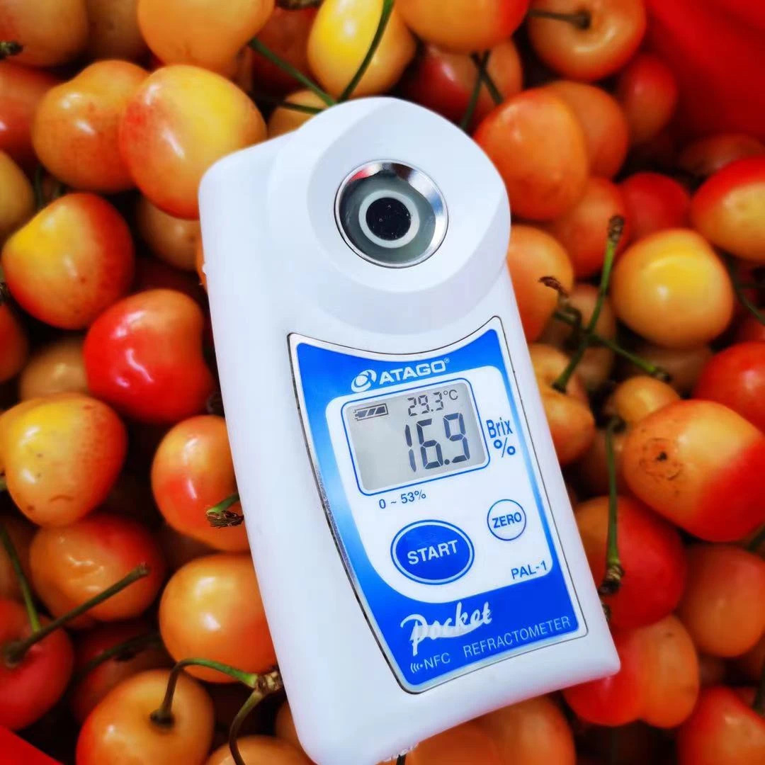 1623404543206259.jpg 3.JPG