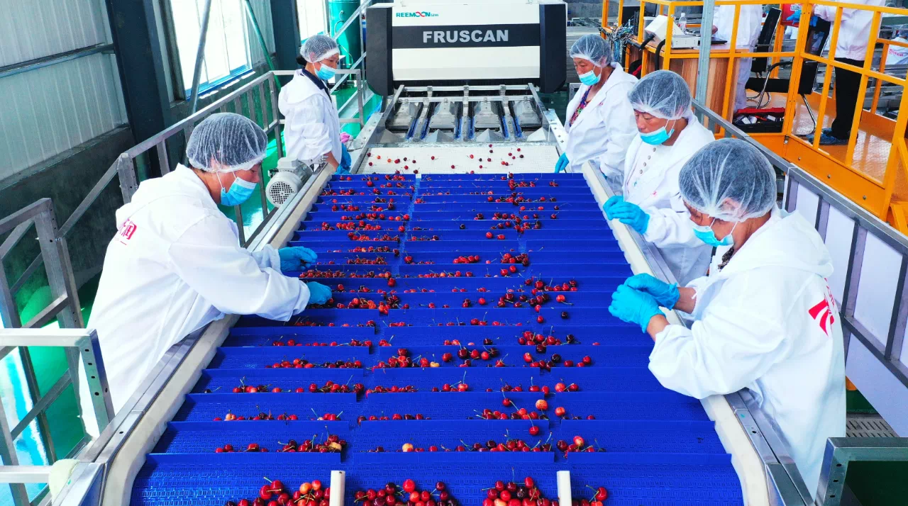 1623404560117190.png 2.PNG