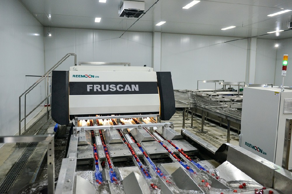 2021世界水果產業博覽會暨世界水果產業大會(FRUIT EXPO 2021)將于9月24-26日在廣州·廣交會展館隆重召開,與廣大業界同仁一起洞悉行業新風向,探索產業發展新模式,幫助參展企業增強品牌影響力,挖掘新市場、新商機,共同打造一場精彩紛呈的果業盛筵。長期以來,FRUIT EXPO組委會一直致力于為大家帶來專業、高端、國際化的