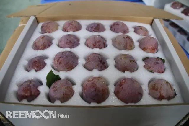 1655975809692156.jpg 4.jpg