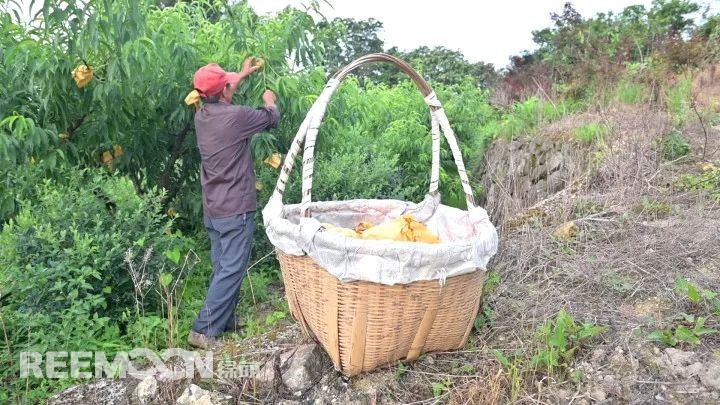 1656919861208585.jpg 2.jpg