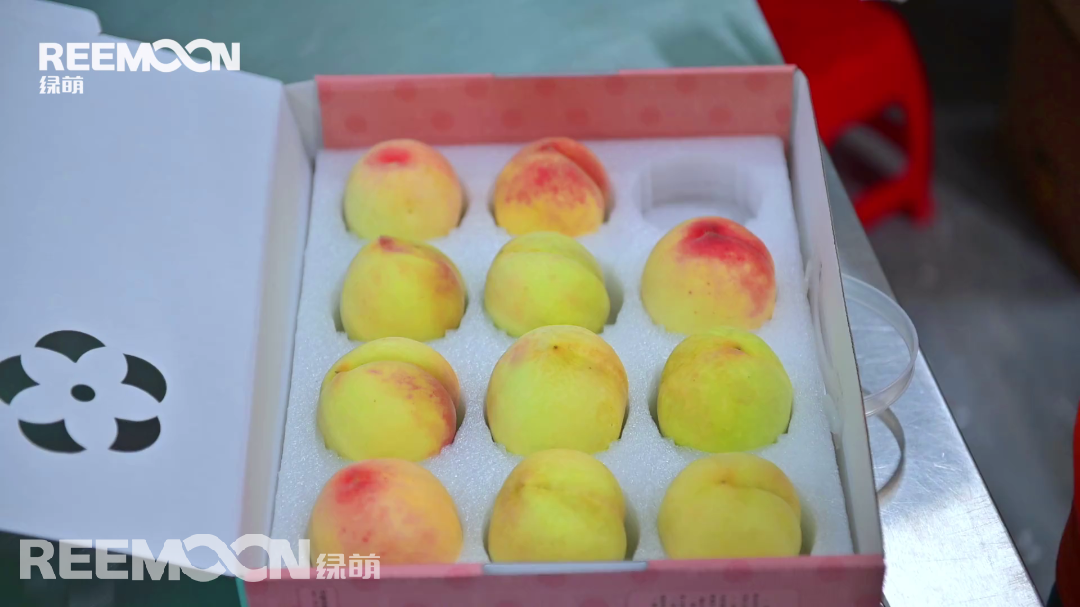 1656920010959754.png 7.png