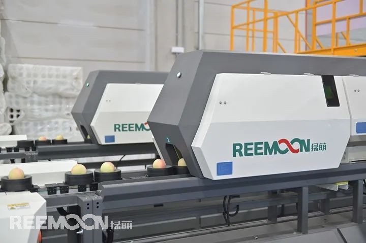 今年的水蜜桃市場行情很好，同期增長20%…….奉化“歡喜奉桃”品牌運(yùn)營方奉化農(nóng)商發(fā)展集團(tuán)市場部經(jīng)理陳盼笑意盈盈地說道。浙江省寧波市奉化區(qū)的水蜜桃種植面積有約5萬畝，其中6000余畝優(yōu)質(zhì)產(chǎn)區(qū)作為“歡喜奉桃”指定合作基地。面對水蜜桃產(chǎn)業(yè)競爭日趨白熱化，奉化水蜜桃經(jīng)營薄弱、品牌渠道混亂的短板越發(fā)凸顯，尤其是面對桃子