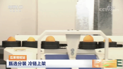 連線采訪＋現(xiàn)場直播7月20日CCTV農(nóng)業(yè)農(nóng)村頻道、央視頻APP深度報(bào)道湖北老河口黃桃產(chǎn)業(yè)發(fā)展情況綠萌作為果蔬智能科技分選企業(yè)憑借AI（人工智能）算法以及光譜技術(shù)為老河口黃桃產(chǎn)業(yè)賦能而亮相央視在此之前綠萌因?yàn)橹袊卟珊髽?biāo)準(zhǔn)建設(shè)賦能已經(jīng)多次亮相于央視黃桃作為老河口的“富農(nóng)果”，身肩重任。全市3.5萬畝黃桃如何打造價(jià)格