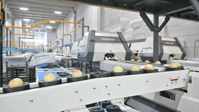 1663032050205270.gif 水蜜桃.gif