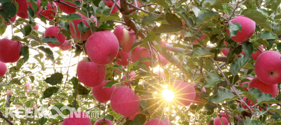 1691139750166632.png 1.png