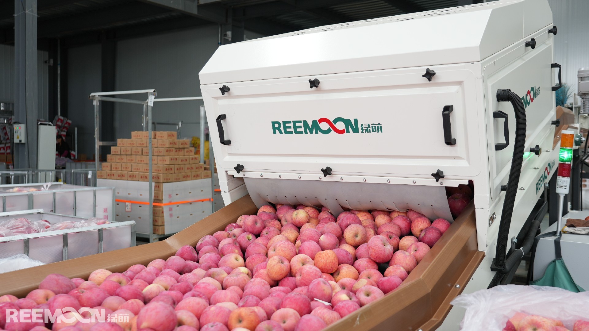 1691139926138791.jpg 2.JPG