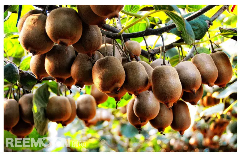 1691745319949859.jpg 1691568756060.jpg