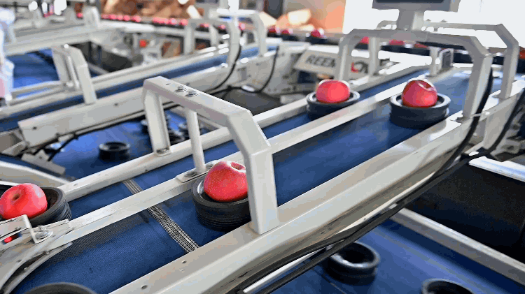 1693558523890106.gif 定量裝箱.gif