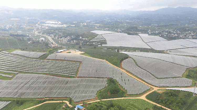 1693644983130295.gif 魯甸58農業航拍.gif