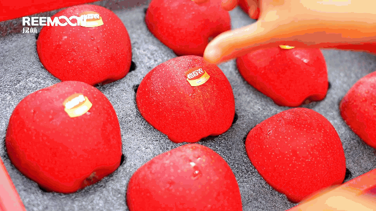 1693645038185096.gif 怡百農商品化包裝.gif