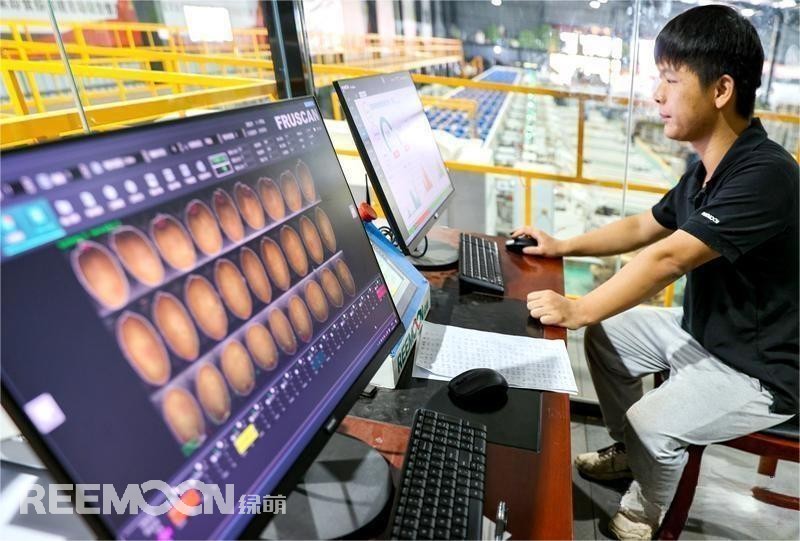 1694505942103992.jpg 1 - 副本.jpg