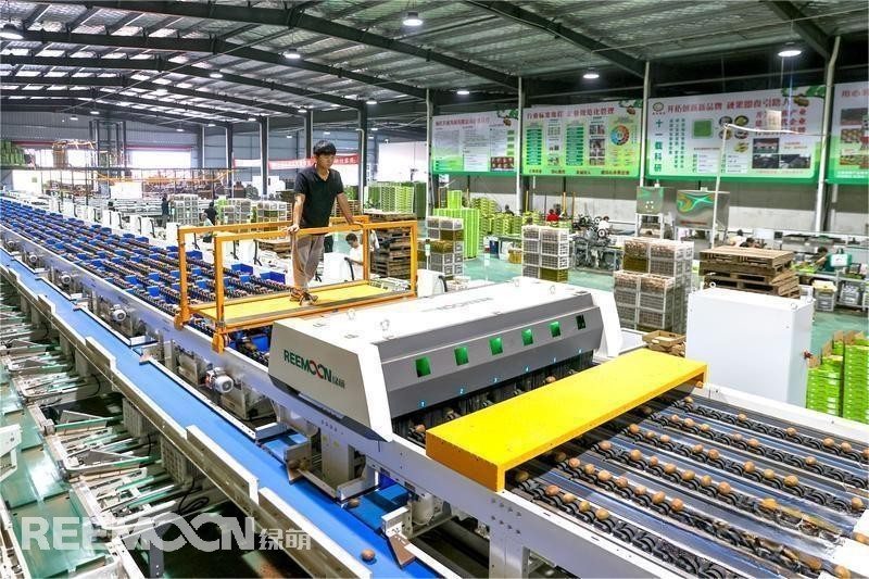 1694505993191743.jpg 3 - 副本.jpg