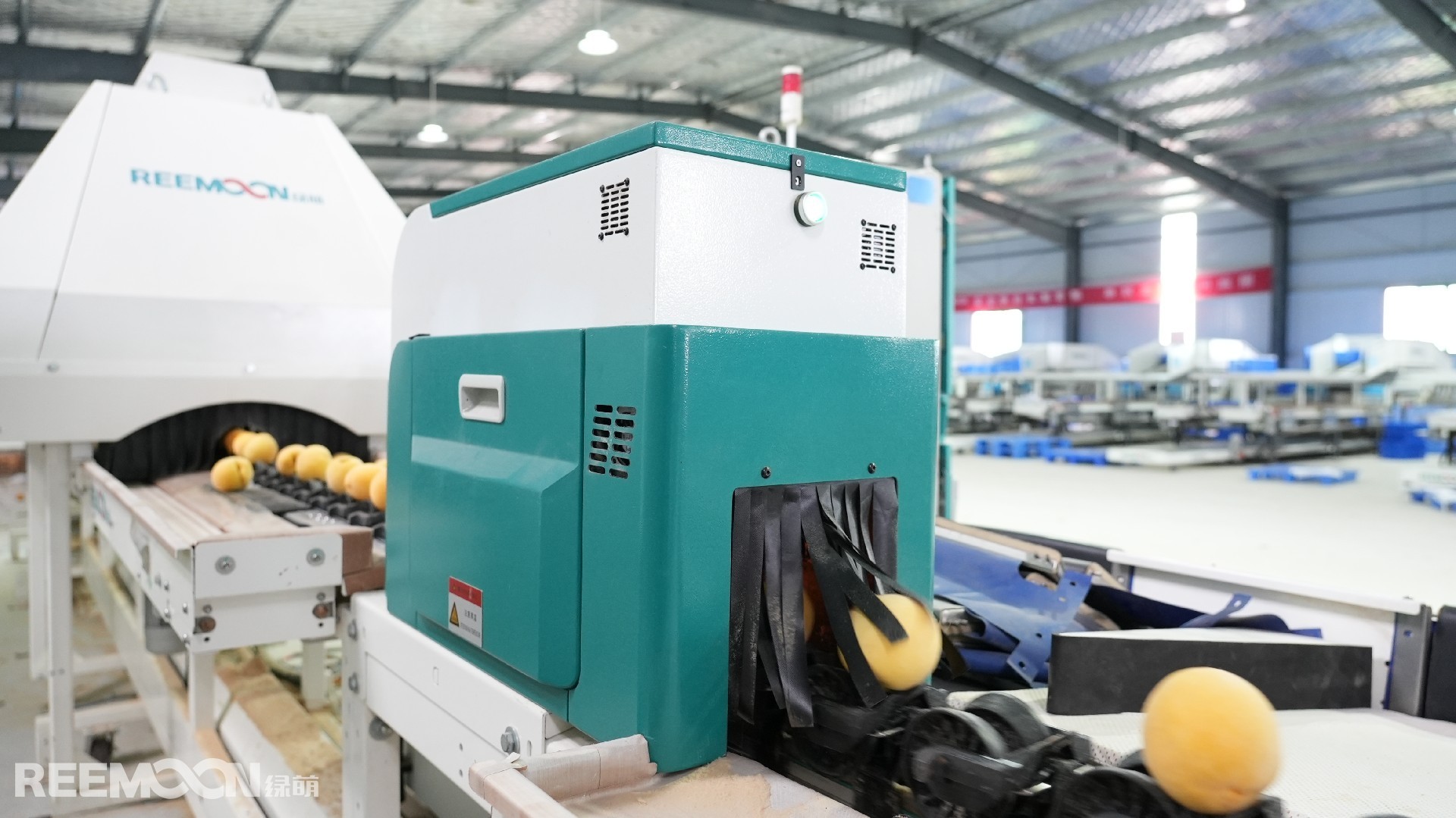 1695202172169464.jpg DSC01697.JPG