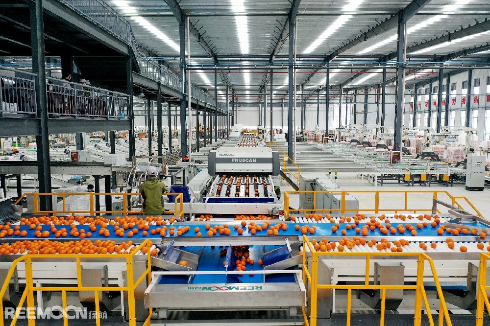 水果作為日常生活必不可少的食品之一，富含各種維生素、礦物質(zhì)和纖維素,對(duì)我們的身體健康有著重要的作用。世界上水果種類繁多，而說到其中最復(fù)雜的水果家族，就不得不提柑橘家族。柑橘800萬年前起源于喜馬拉雅地區(qū)，是人類采食利用最早的水果之一。幾百萬年的自然選擇，4000多年的人為參與。讓柑橘成為了一個(gè)家族內(nèi)部成員關(guān)