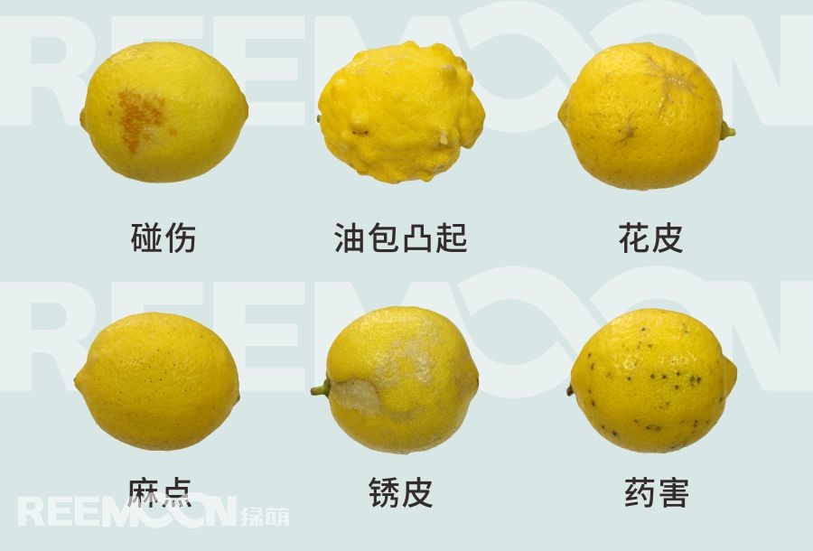 1698463392177549.jpg 微信圖片_20231026164934.jpg