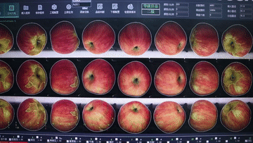 1698975816181590.gif 105012023103100002580.gif