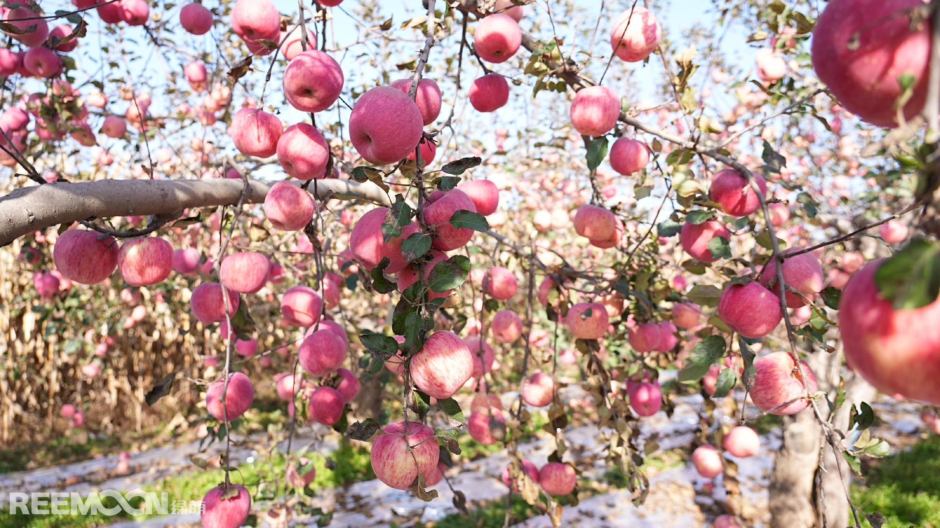 1698984008112030.jpg DSC03614.JPG