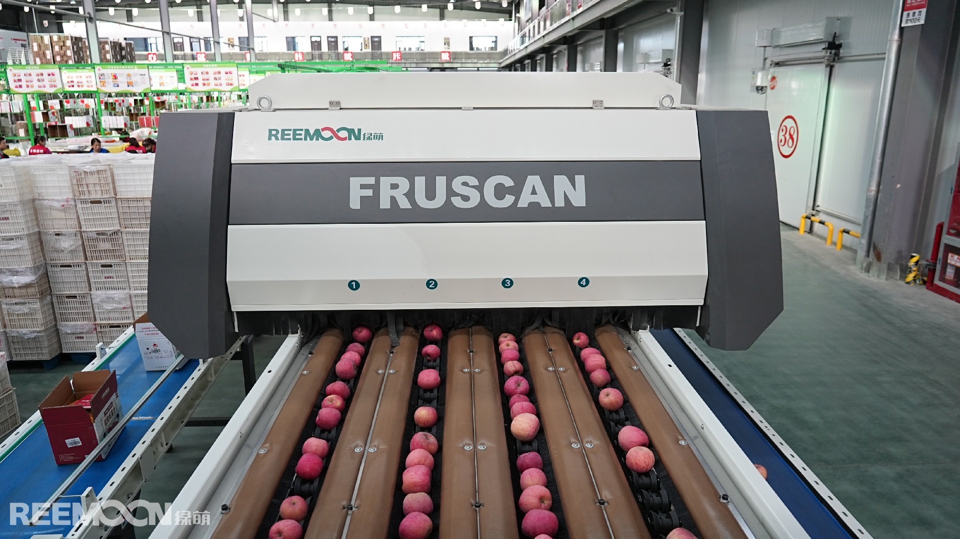 1698984034110846.jpg DSC03511.JPG