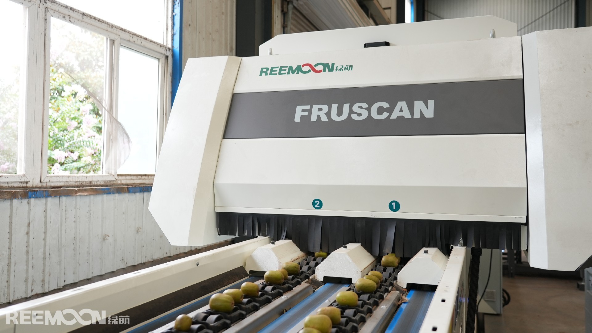 1700122010366241.jpg DSC02342.JPG