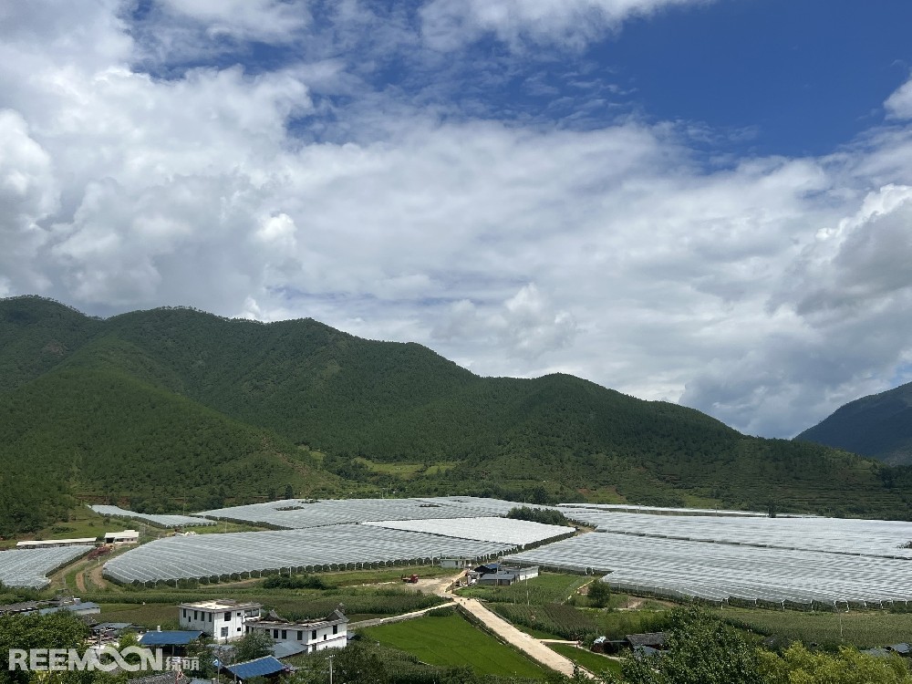 麗江市蘋果種植主產區海拔2400-2700米,良好的立體環境條件造就了麗江蘋果糖度高、果肉緊密、硬度高、無污染的品質特點。2019年,在全國種植產區的甄選中,鑫榮懋選定了云南省麗江市蘋果優勢產區作為未來蘋果種植項目的實施地,目前已種植新西蘭引進的優良蘋果品種。鑫榮懋以新品種、新技術及高品質為發展蘋果種植的新契機,