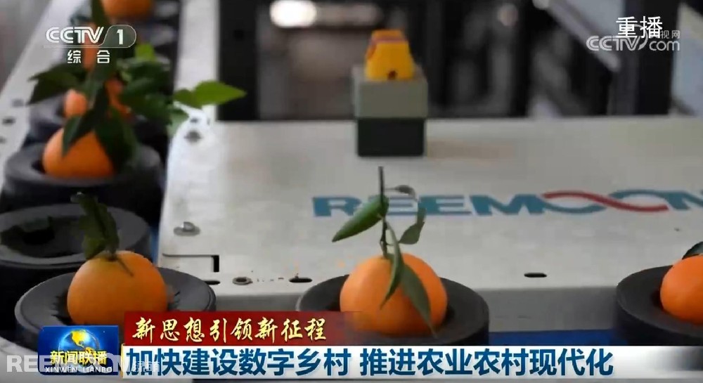 又又又上央視了2025開年見喜綠萌在半月之內(nèi)兩次登上《新聞聯(lián)播》2025年1月1日央視《新聞聯(lián)播》聚焦《甘肅省天水市麥積區(qū)南山花牛蘋果》其中一組畫面中綠萌蘋果雙通道分選線上鏡這條分揀線對蘋果的大小、色澤、瑕疵、糖度、霉心等指標(biāo)進(jìn)行精準(zhǔn)檢測分級助推花牛蘋果做大做強(qiáng)助力果農(nóng)增收致富10