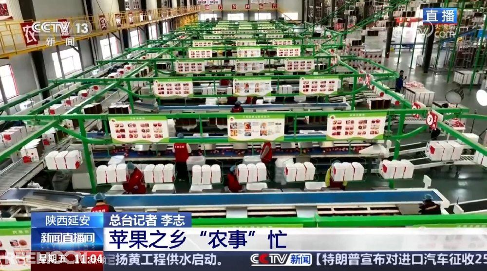 春天是希望的季節陜西延安是我國蘋果的優生區和主產區蘋果之鄉正呈現出一片繁忙的景象3月28日,CCTV13新聞頻道聚焦陜西延安蘋果產業發展展現中國農業現代化與鄉村振興的生動實踐PART.01智能分選線:給蘋果做“體檢”,助力果農增收致富延安甘泉縣分揀車間內綠萌智能分選設備高效運轉通過人工智能和圖像處理技術對傳送帶上的
