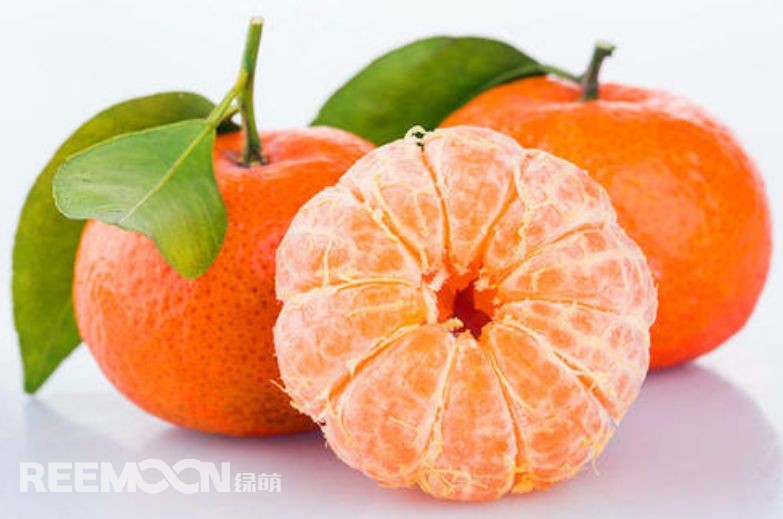 近幾年,砂糖橘逐漸跌落“神壇”,價格急速下滑。產(chǎn)能過剩、集中上市、競爭增大......不少問題圍繞著砂糖橘產(chǎn)業(yè)的發(fā)展。難道真的就要走向末路了嗎?砂糖橘口感清甜似砂糖,入口即化,富含維生素、葡萄糖、胡蘿卜素等多種營養(yǎng)元素,且市場歡迎度高、老少皆宜,擁有廣闊的市場空間。近年來砂糖橘價格一路低走,產(chǎn)業(yè)模式的問題